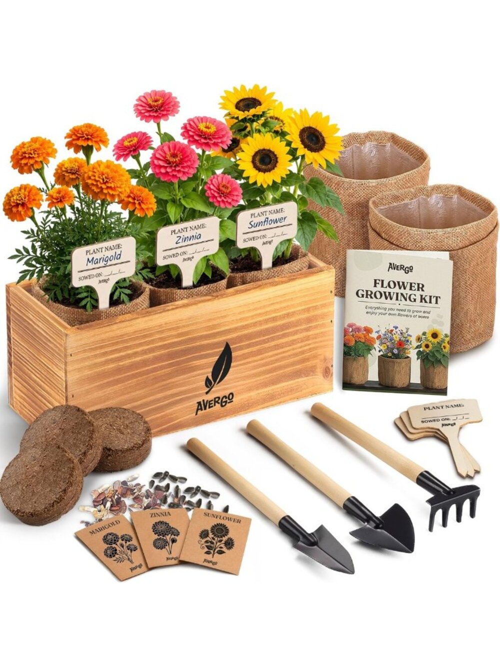Complete Flower Seeds Growing Kit - Indoor & Outdoor Planting Set with Tools